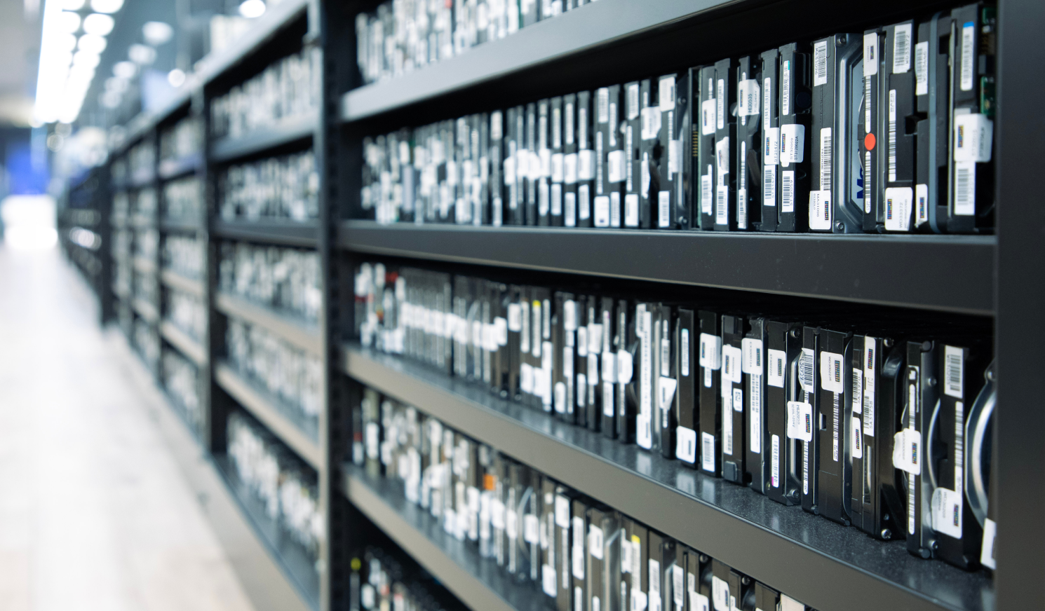 世界最大級のドナー保管庫